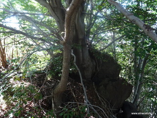 nte Rinatu-15-09-2019 10-29-55